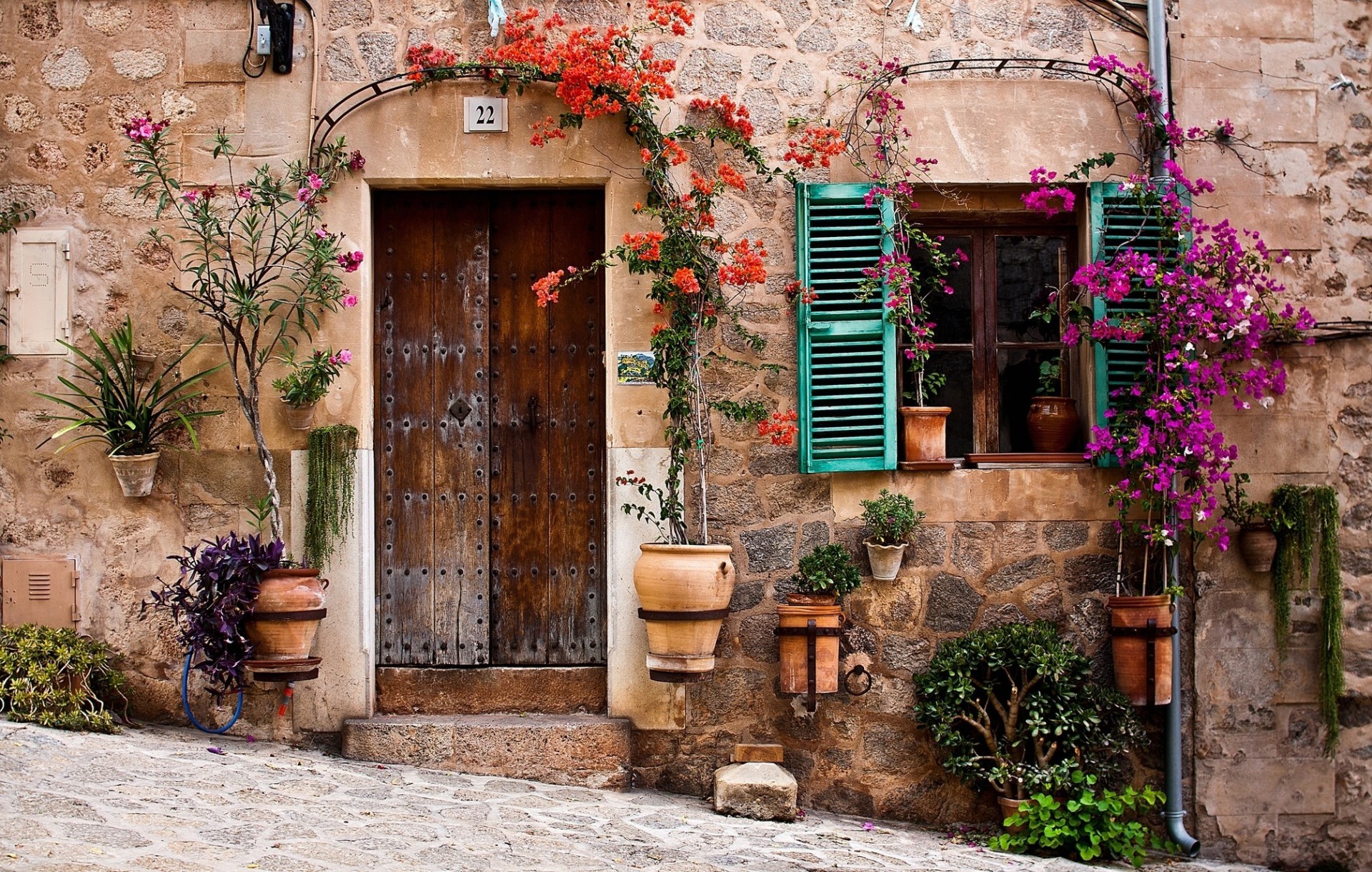 pared ventana puerta flor