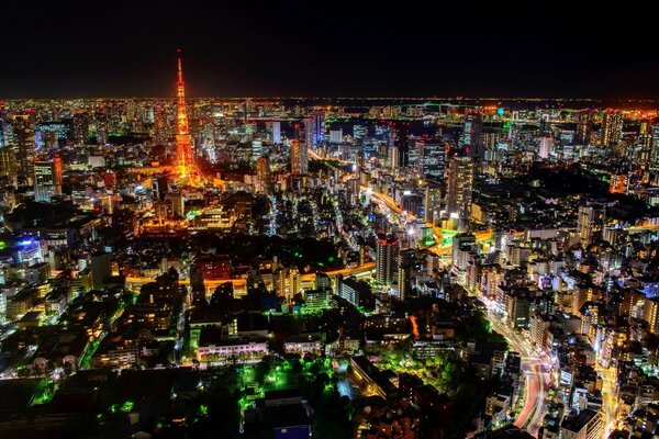 Tokio Nocturno. Vista superior. Rascacielos