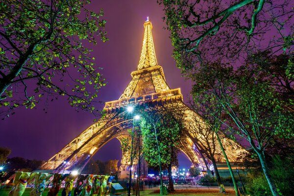 Eiffel Tower in a park in Paris