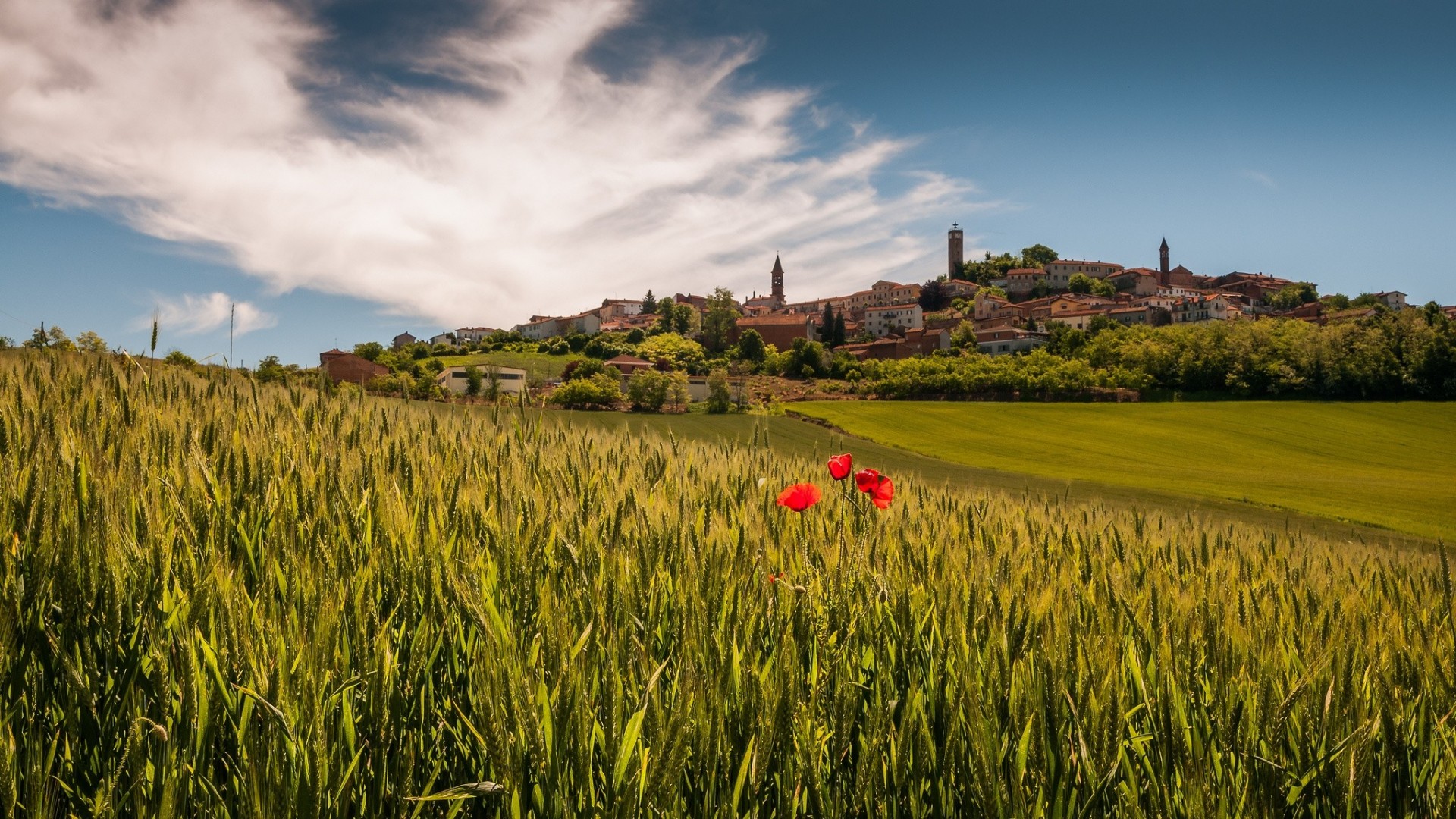 italien land landschaft lu toskana piemont mohnblumen