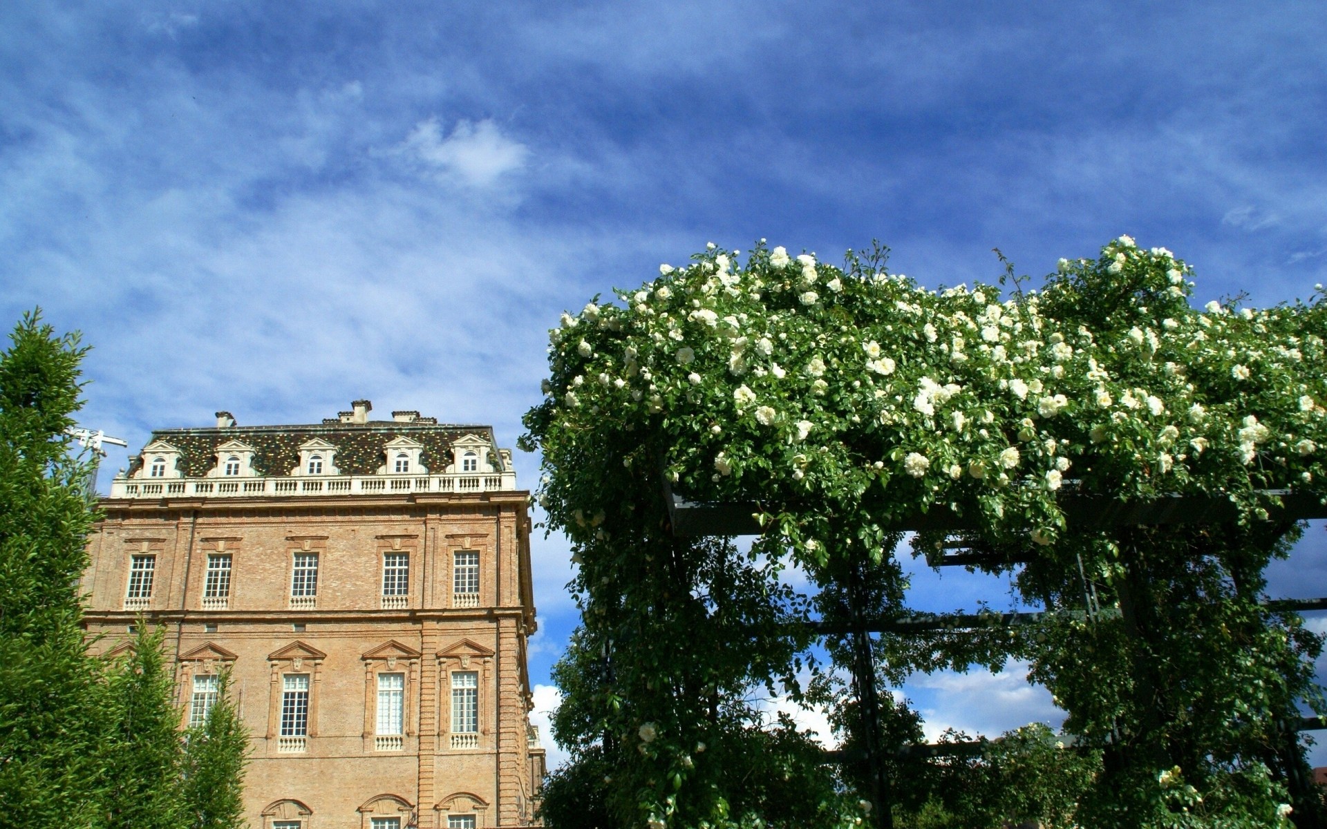 piedmont italy roses building