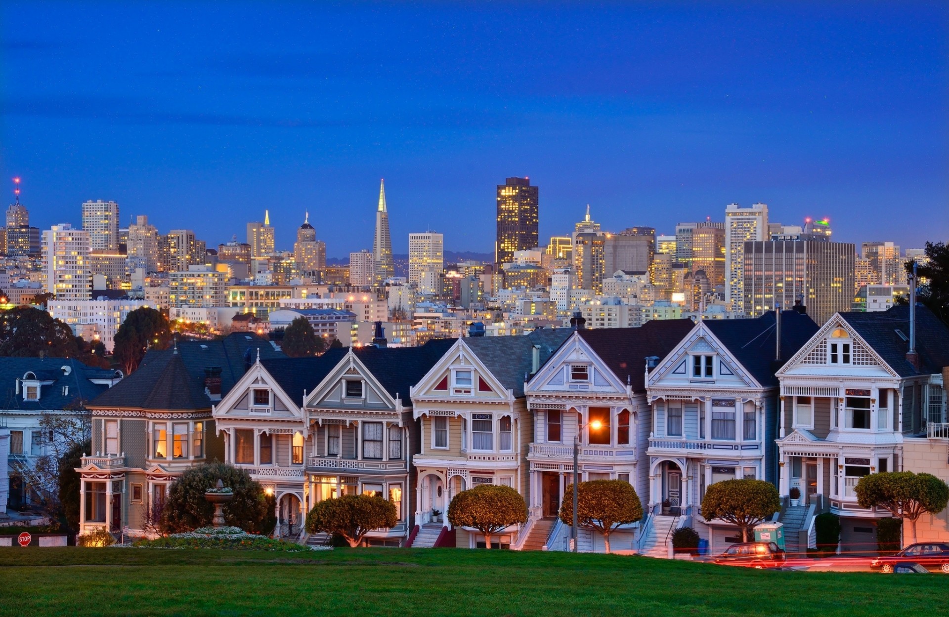 domy kalifornia san francisco drzewa drapacze chmur budynek alamo square