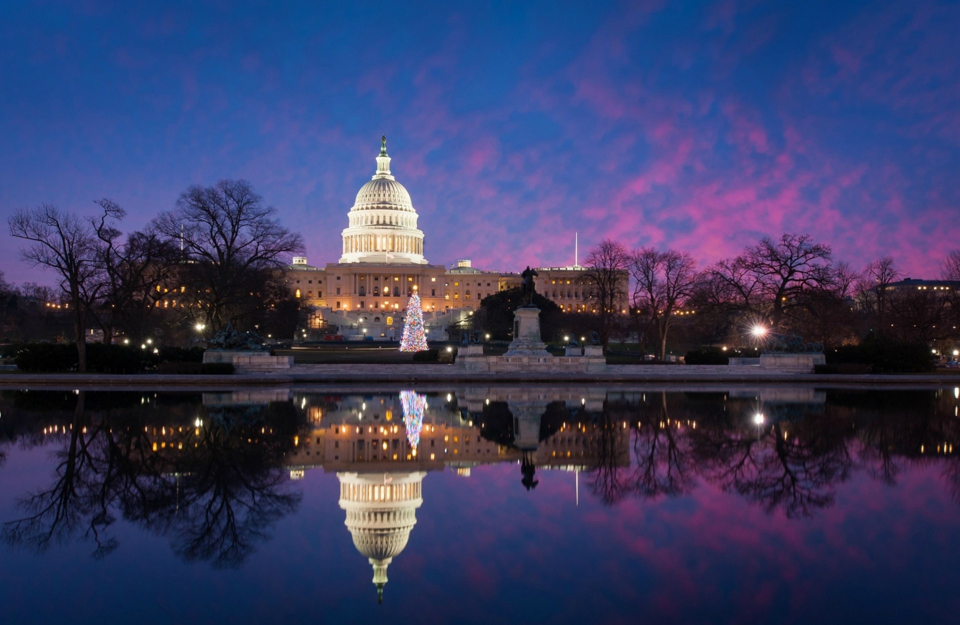 árbol de navidad luces washington estanque reflexión árboles capitolio agua parque iluminación estados unidos invierno luz