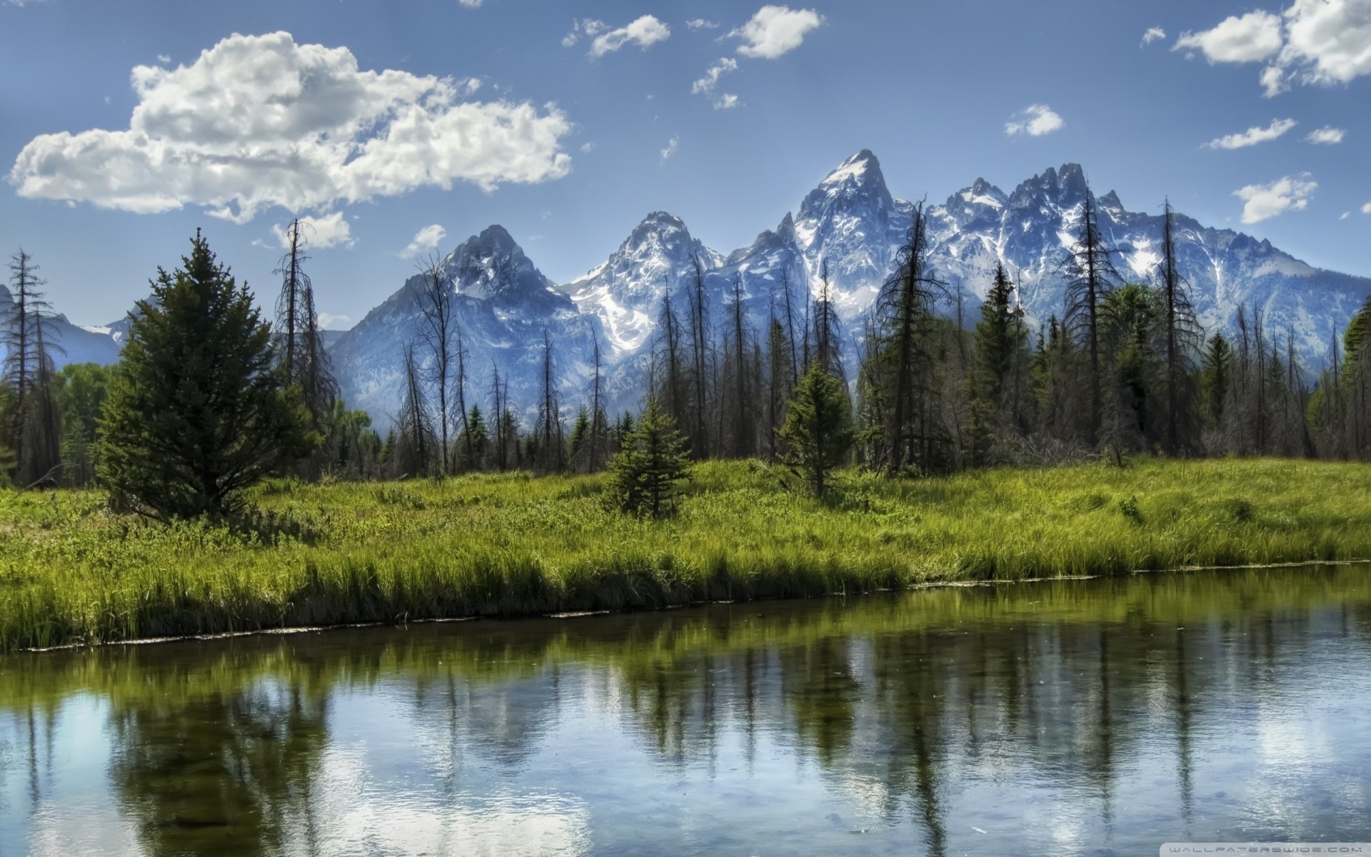 natura montagne parco wyoming palme foresta fiume nuvole