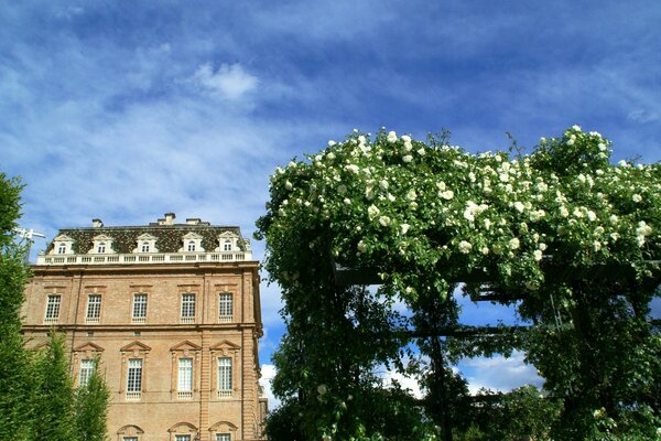 Palacio italiano con rosas elegantes