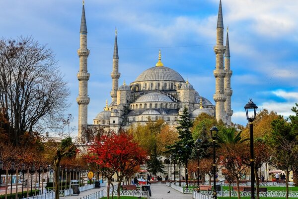 Golubev Mosque against the background of trees in Istanbul