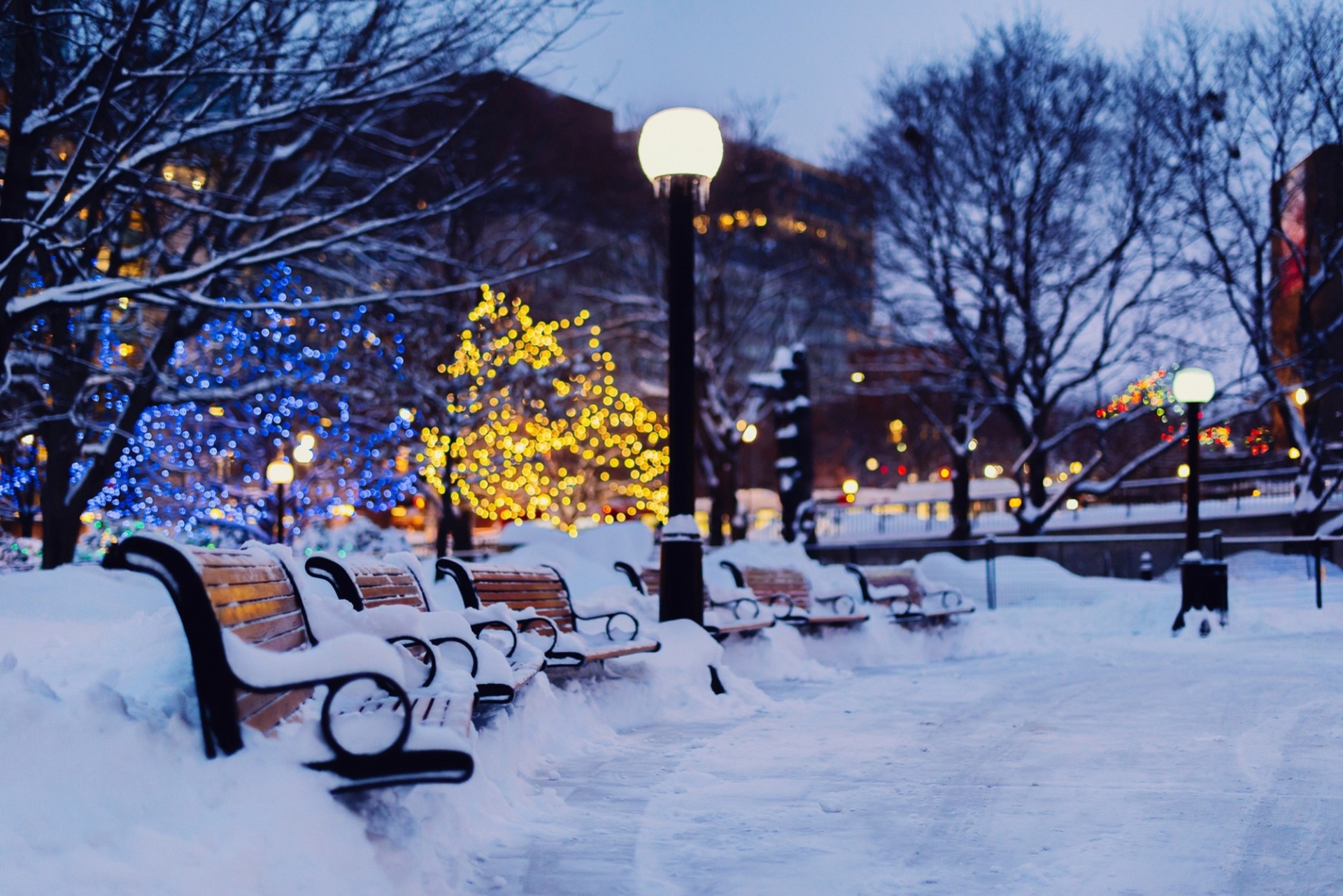 nuit bancs neige hiver ville