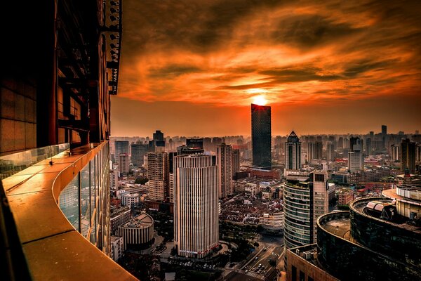 Night beauty Shanghai city