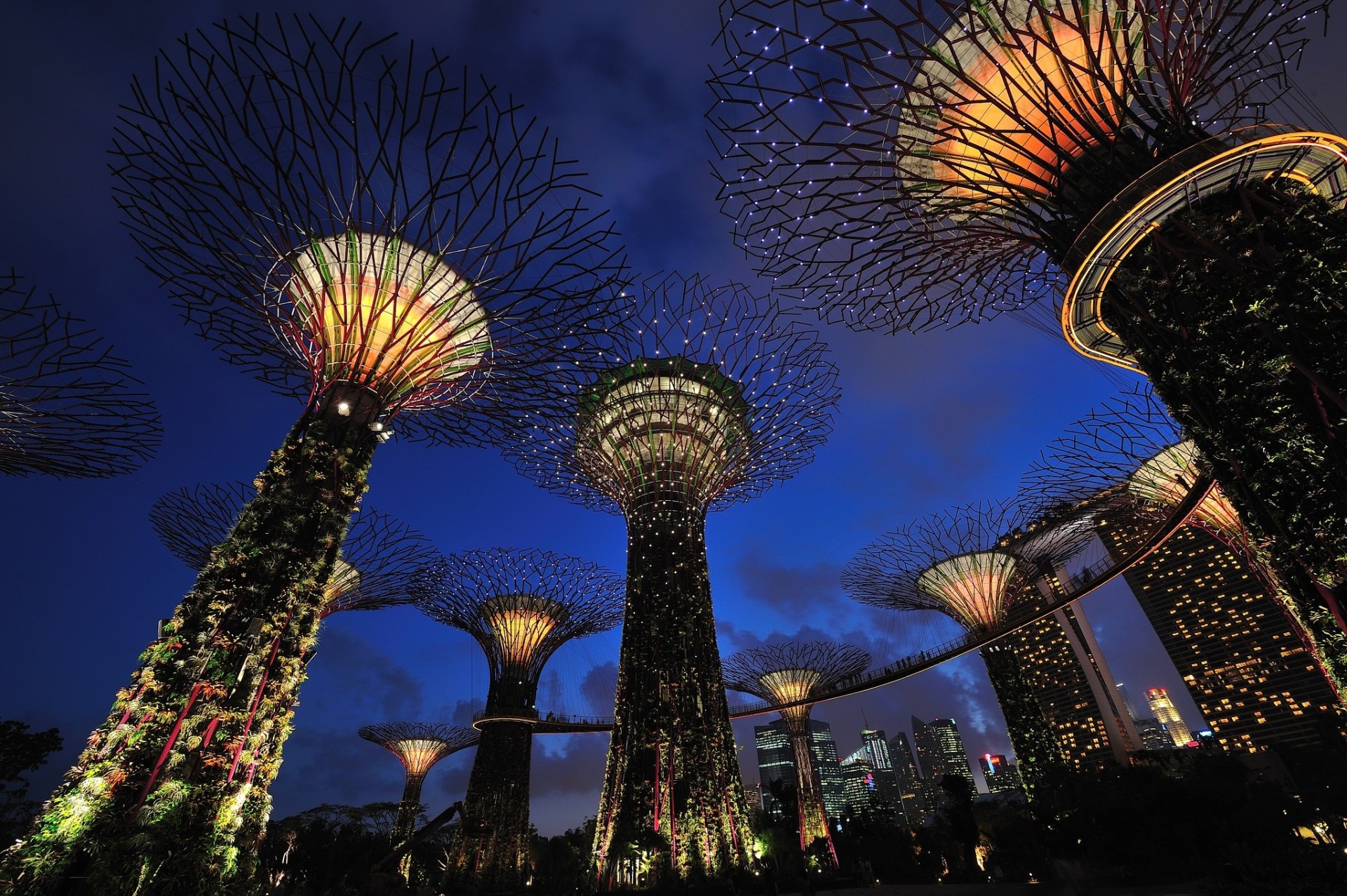 lichter park beleuchtung nacht singapur