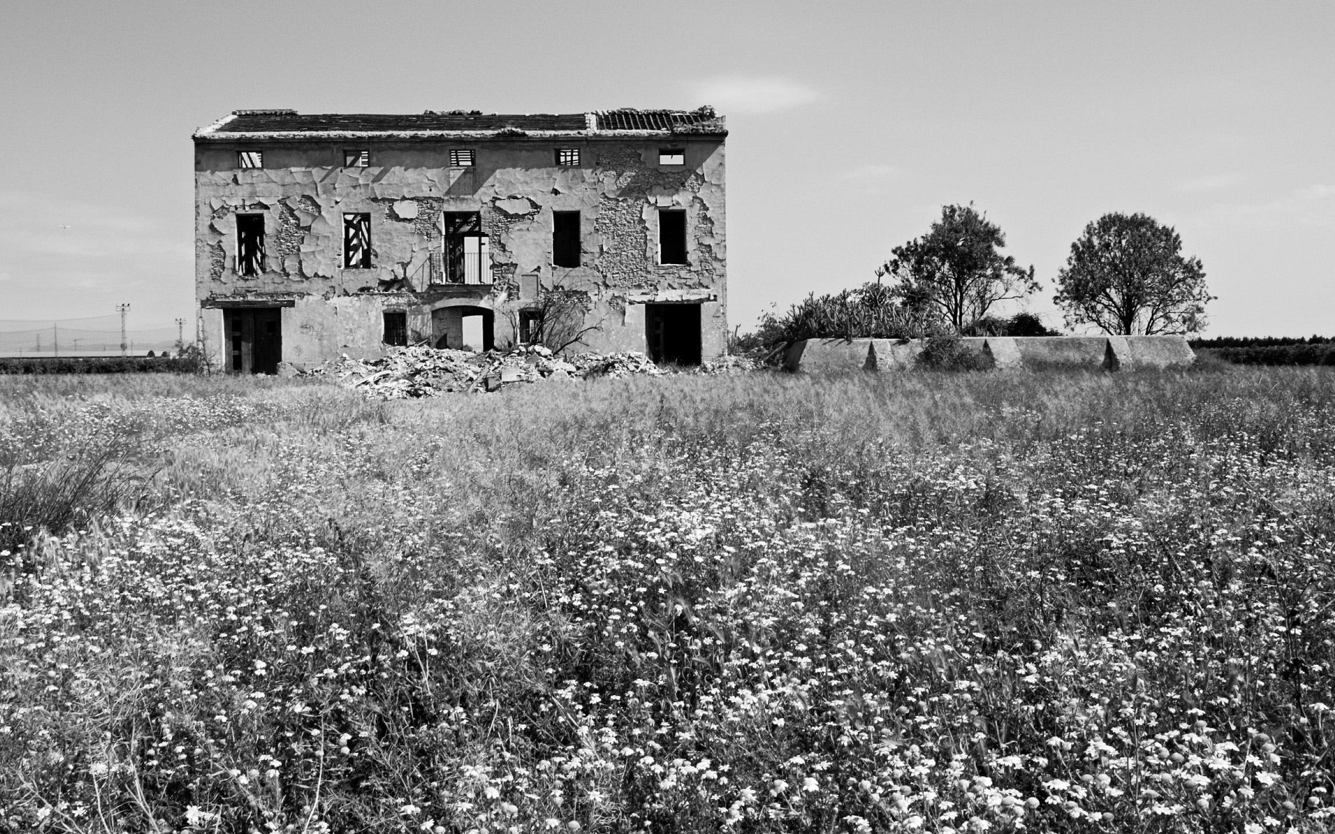 in bianco e nero casa