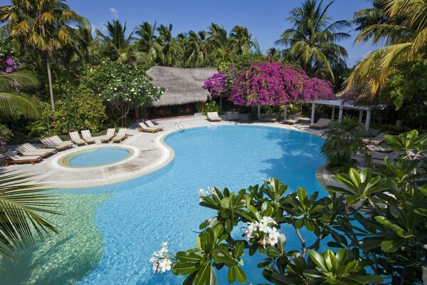 Un angolo di paradiso tra le palme. Relax in piscina