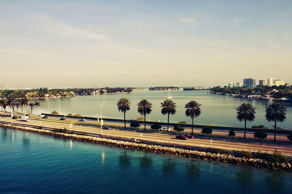 Sunset in Miami with palm trees