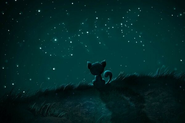 A kitten sees a fish in the sky at night