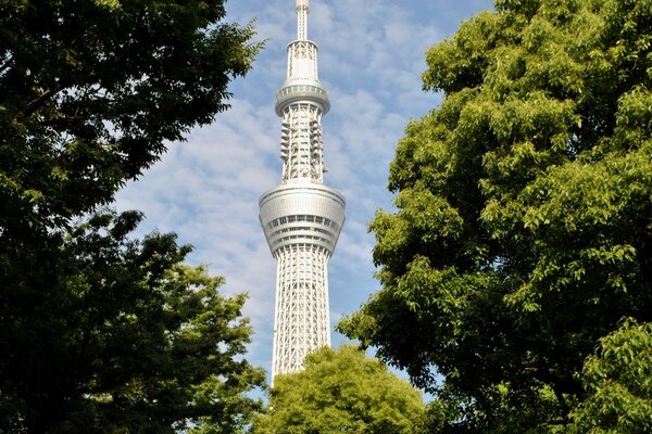Japanischer Turm unter Bäumen