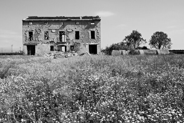 Czarno-biały opuszczony dom