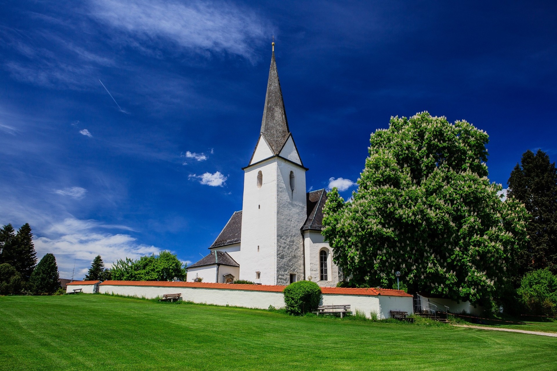 kościół drzewa bawaria niemcy kasztan remont łąka