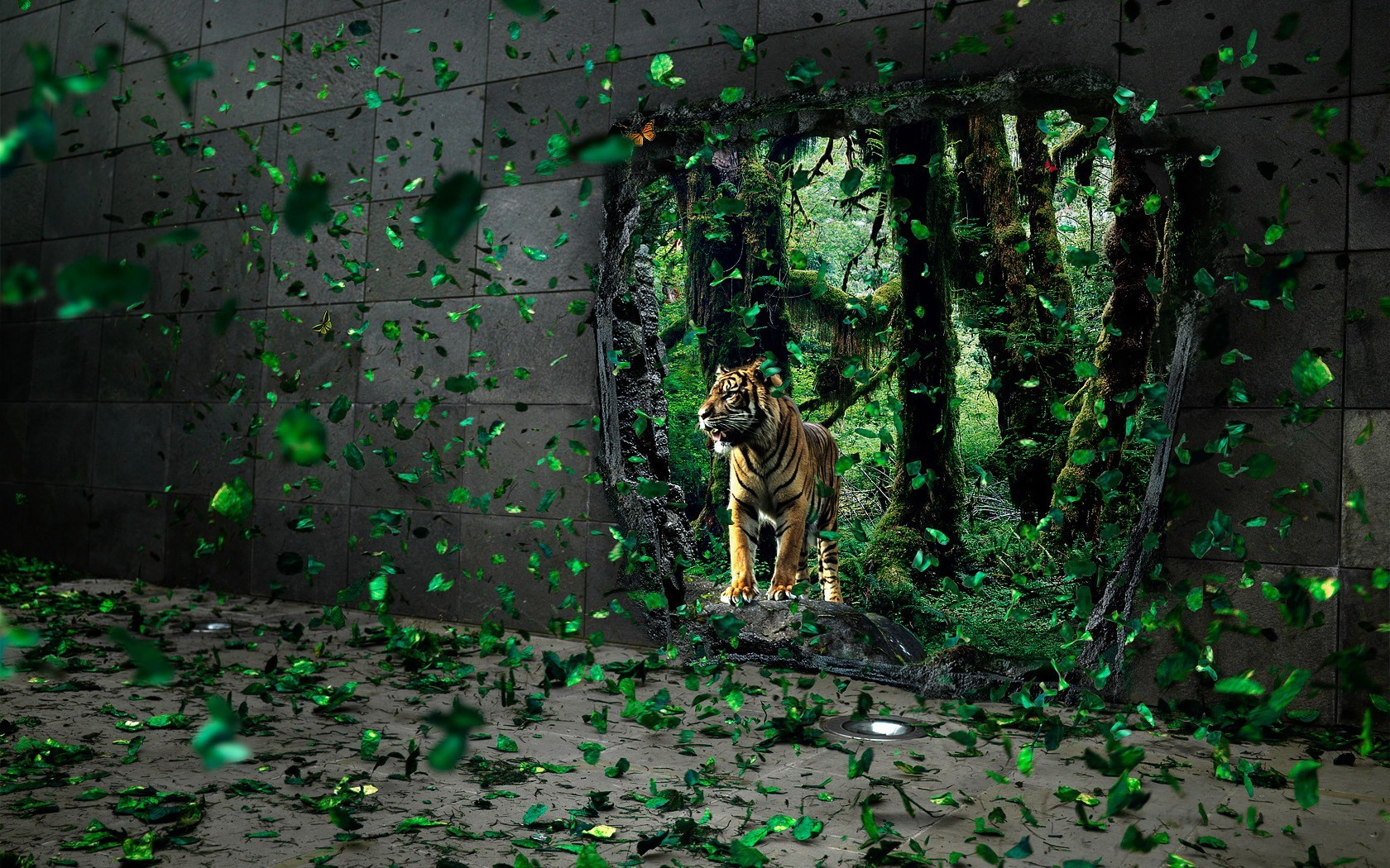 hojas tigre pared agujero