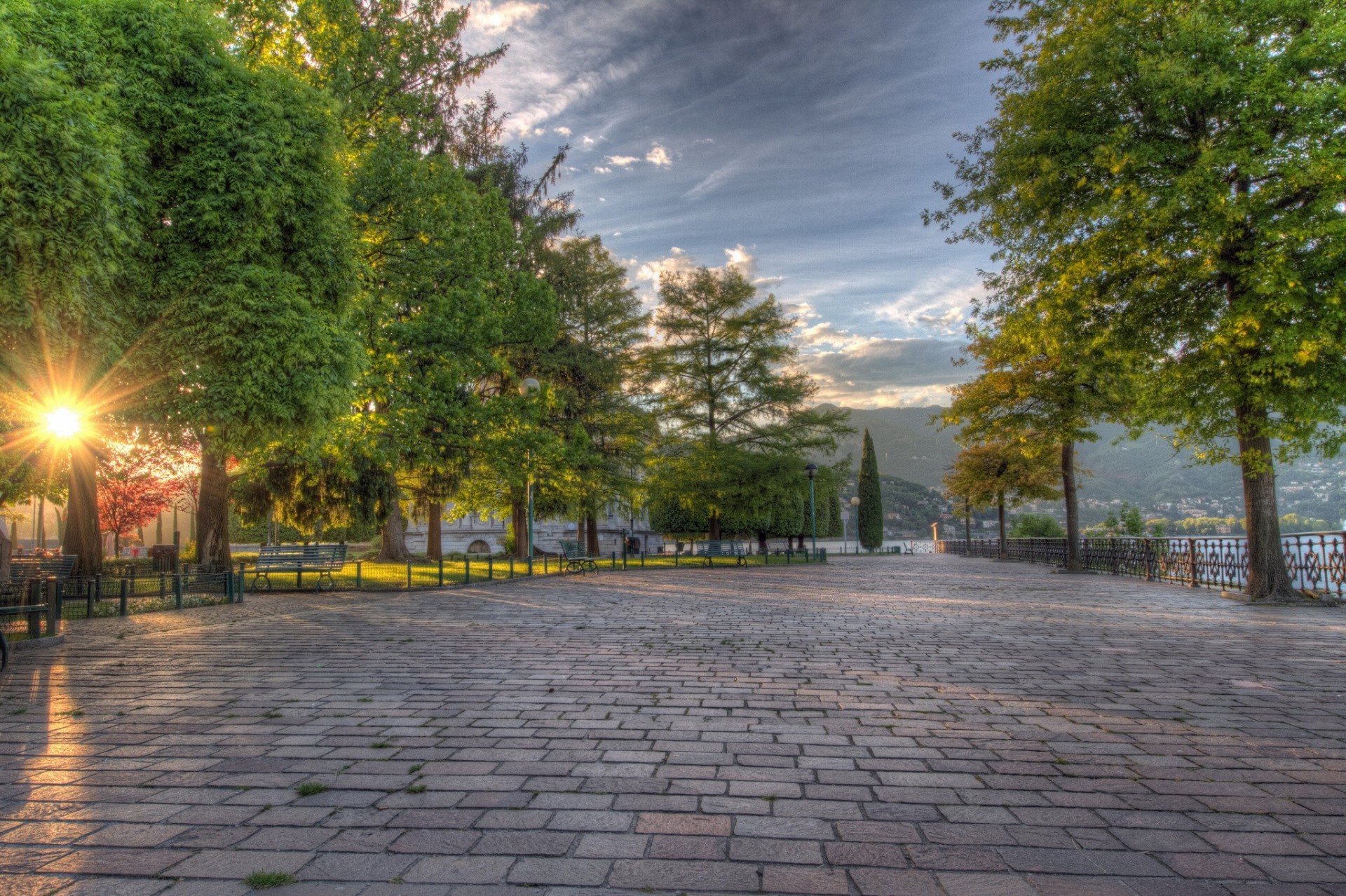 italy lombardy tree sunrise park alley como embankment