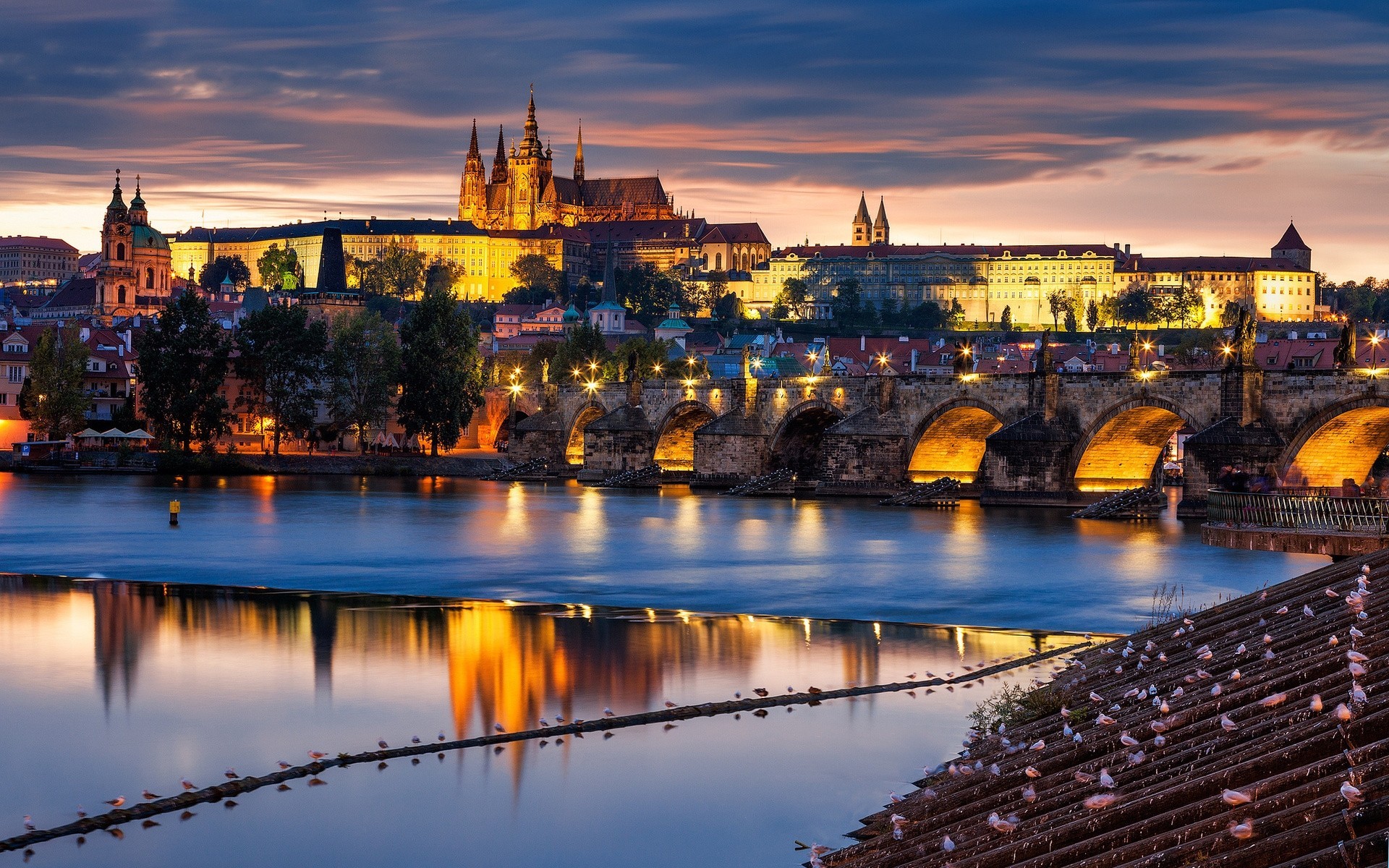 moldava río puente ciudad república checa checo praga