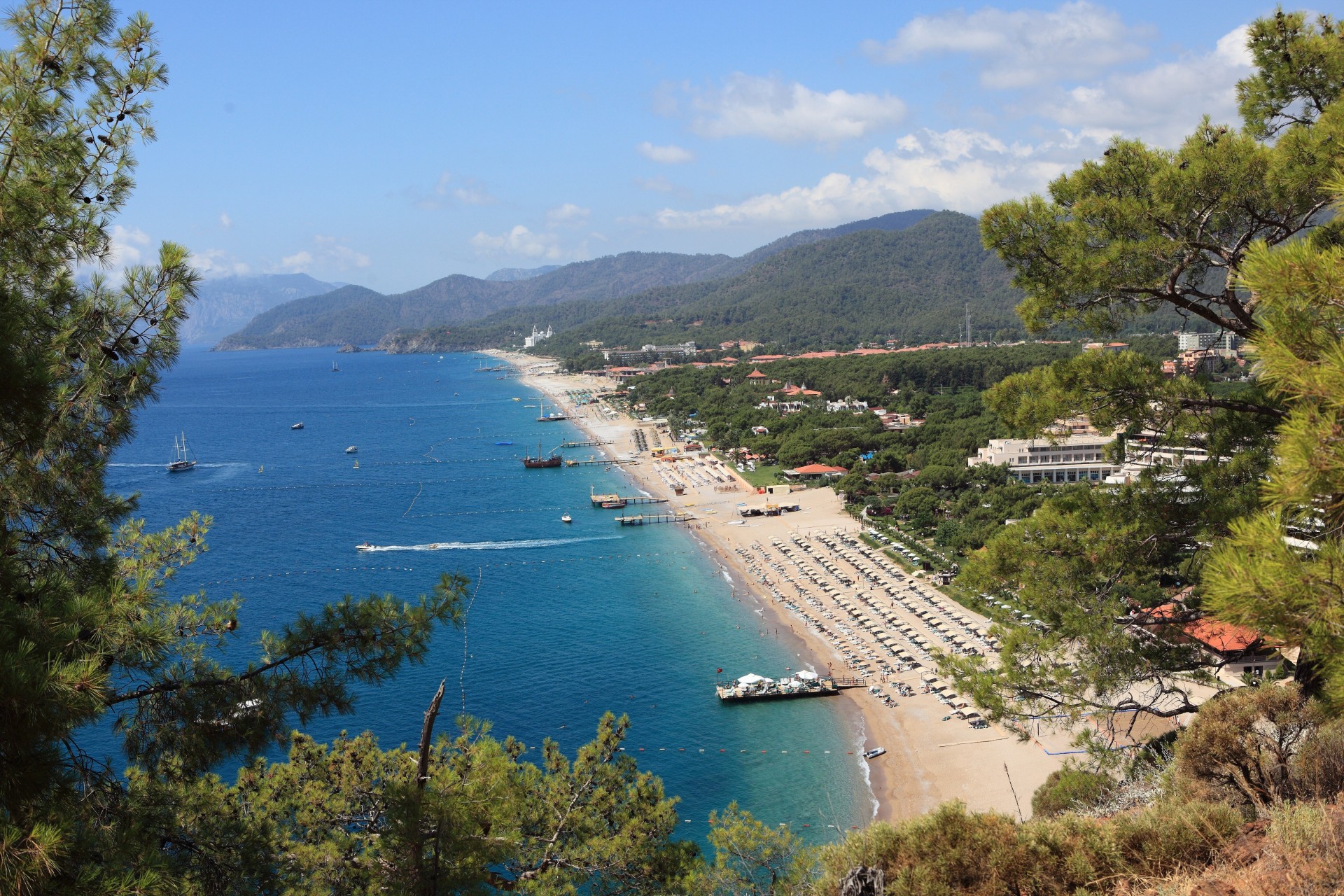 alberi spiaggia oceano case