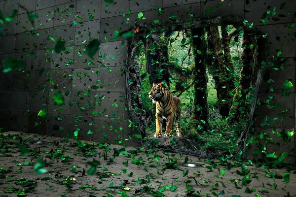 A tiger looking out of a hole in the wall with flying leaves