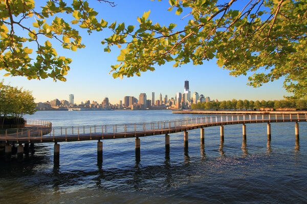 nature ocean marina city water new york hudson River day manhattan branches new jersey bridge trees