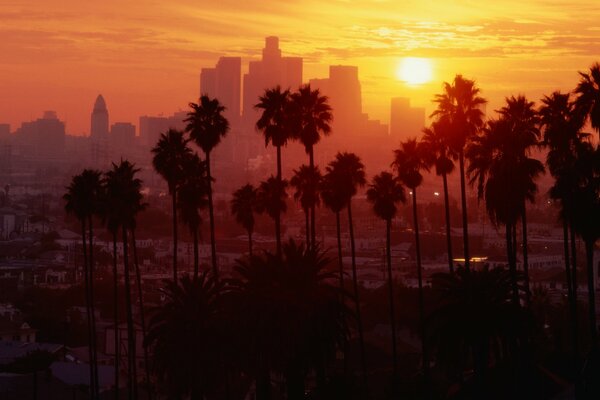 Unbearable heat in Los Angeles at sunset