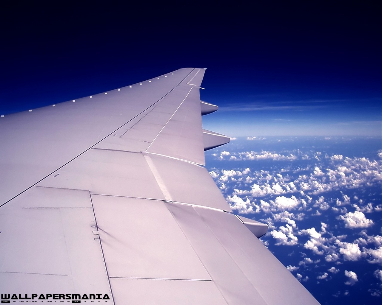 plane wing cloud