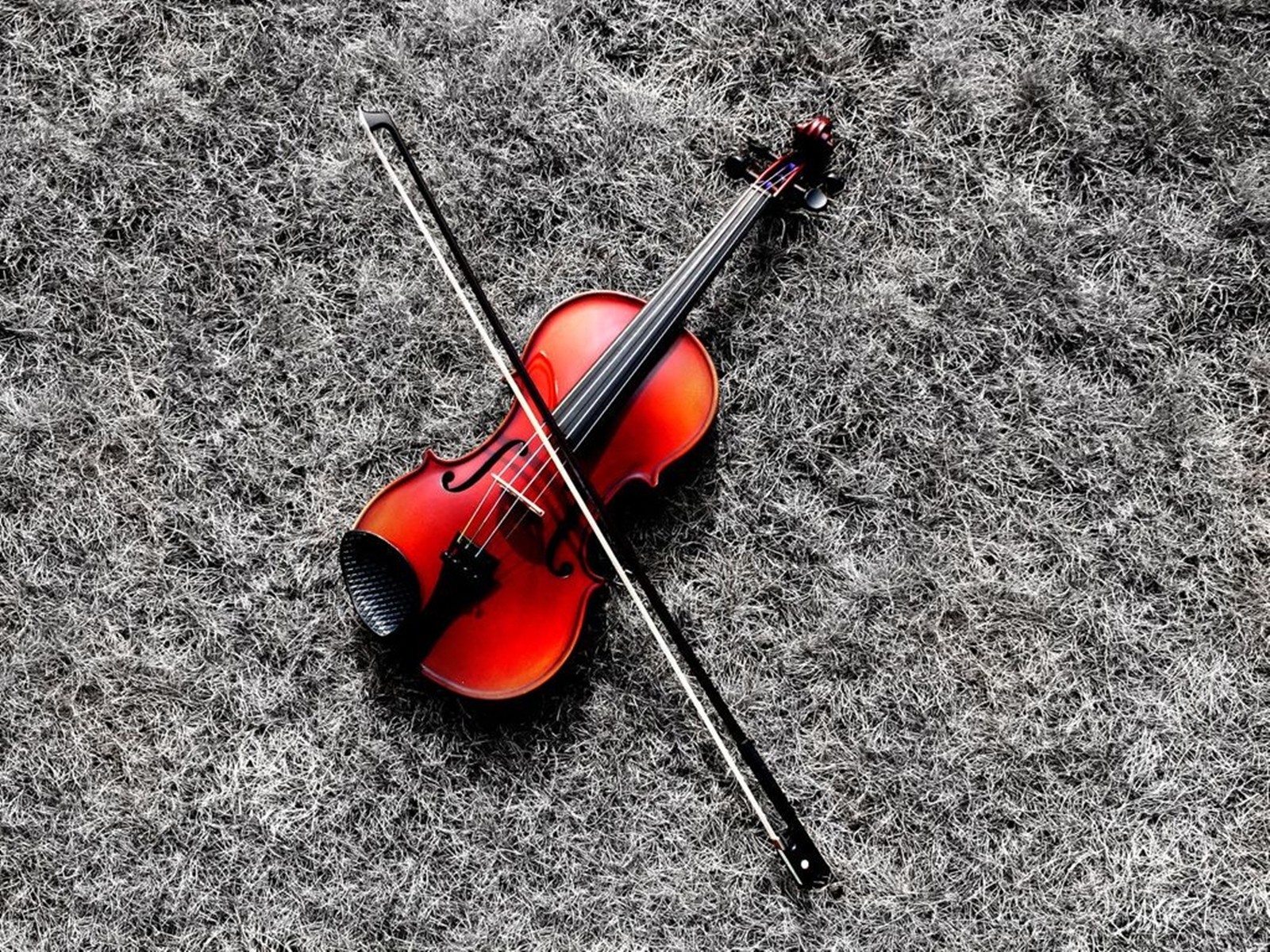 violon rouge herbe