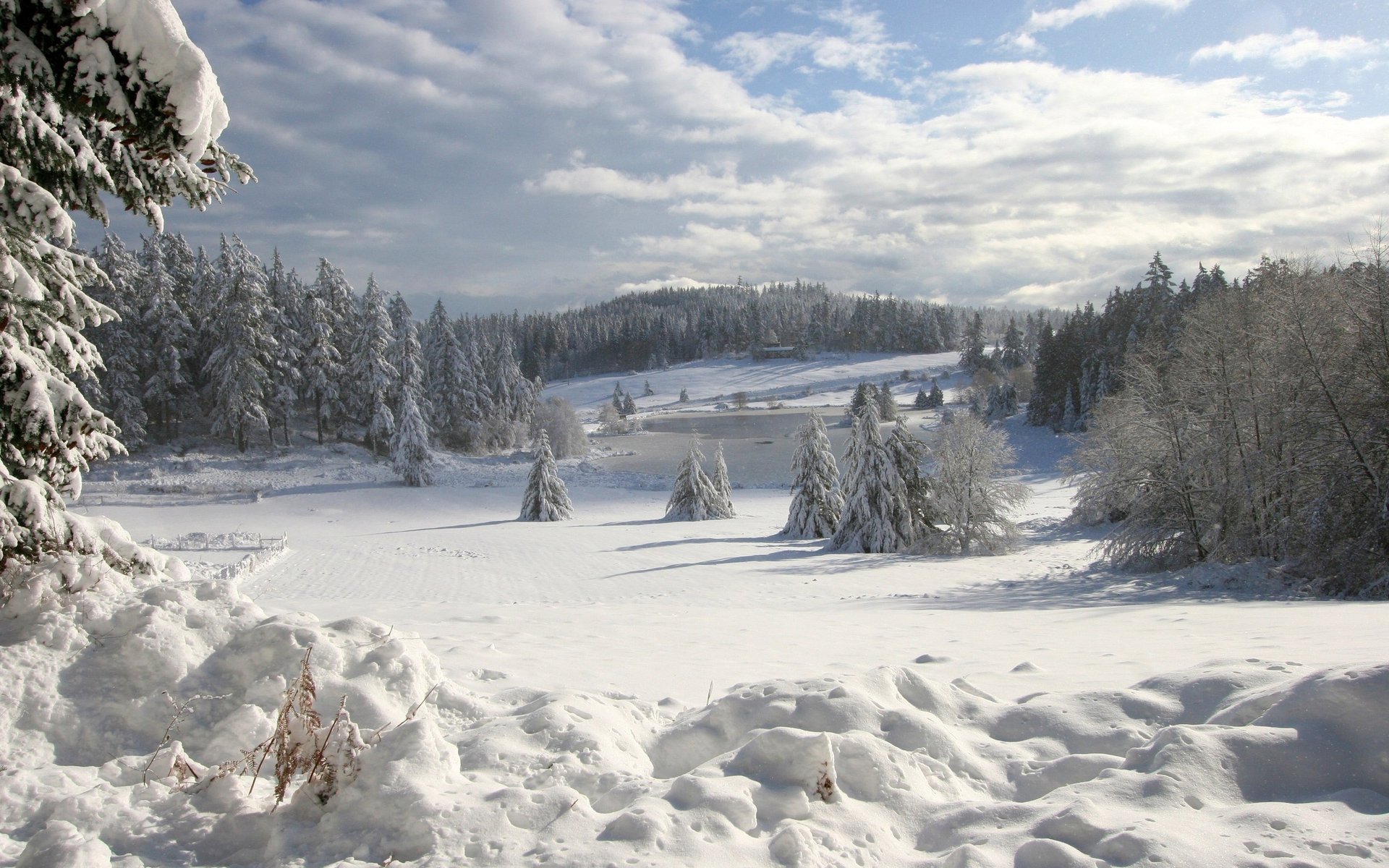 pleno invierno nieve borde del bosque bosque nieve invierno montañas