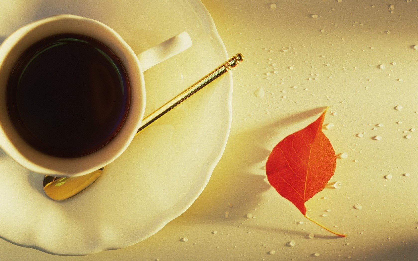 the red leaf early morning food coffee espresso cup drops composition a cup of coffee cup of tea drink