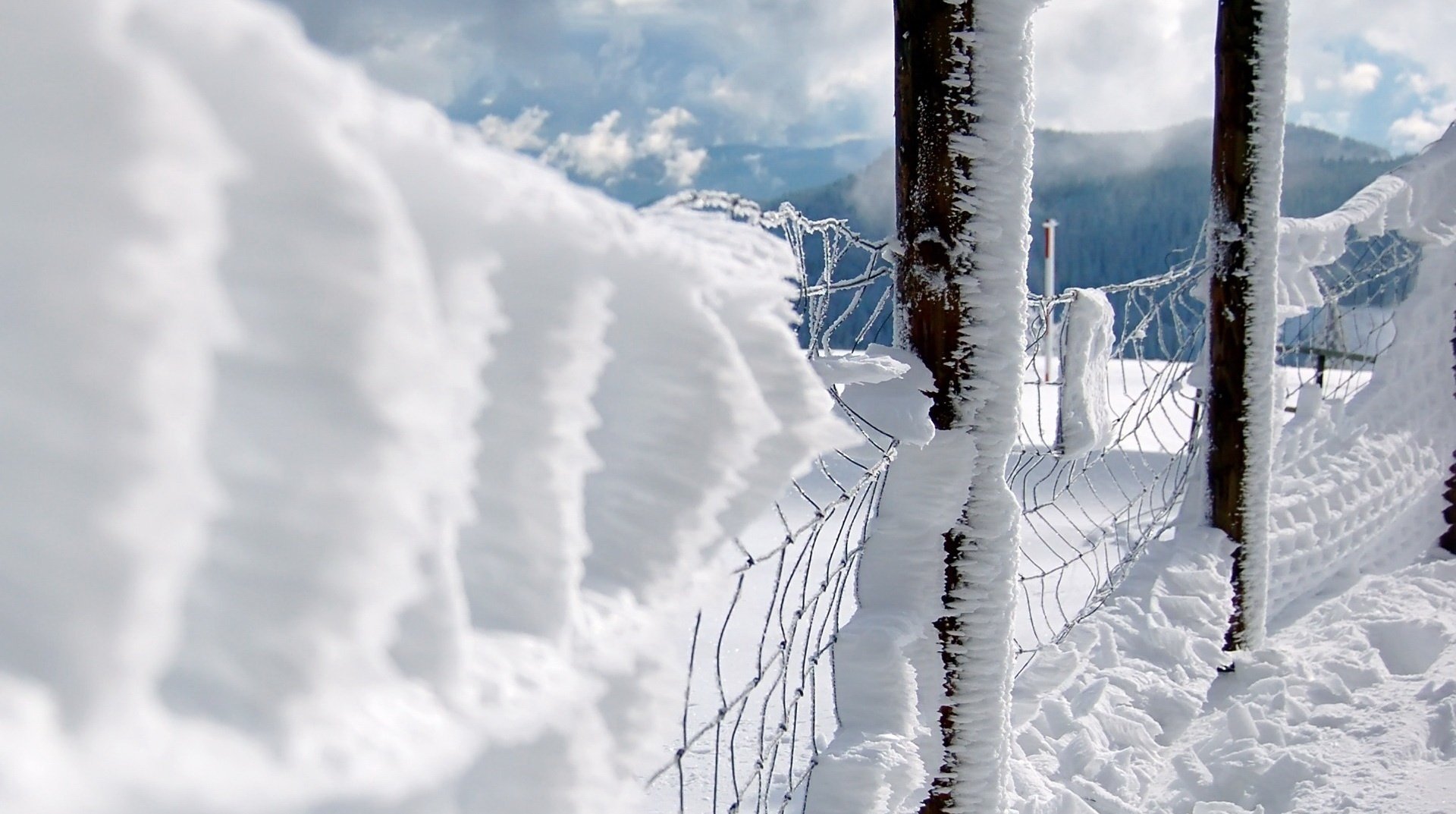 schneezaun im schnee bel berge säulen schnee winter zaun sauberkeit kälte frost ferne netz nebel wolken himmel