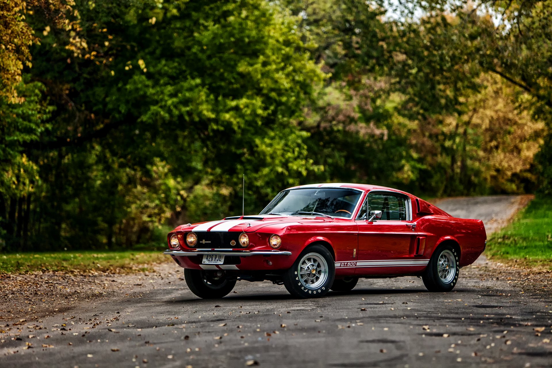 1967 ford shelby gt500 mit lemans streifen option