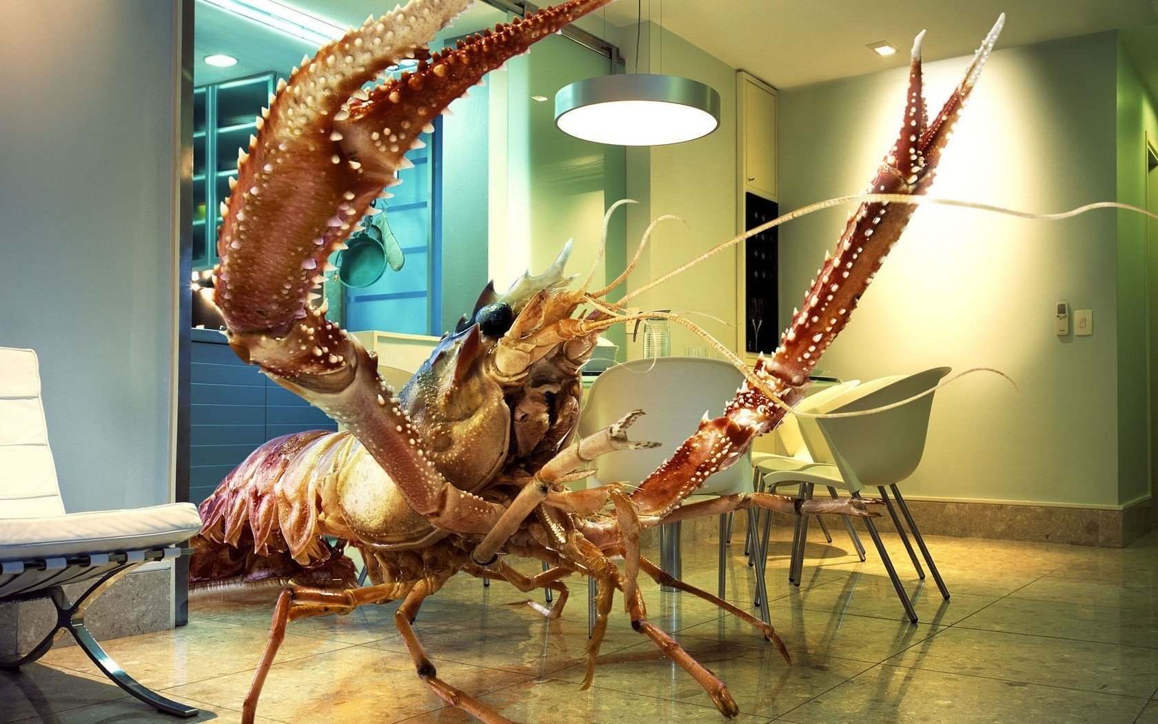 jumbo shrimp rampant room animal