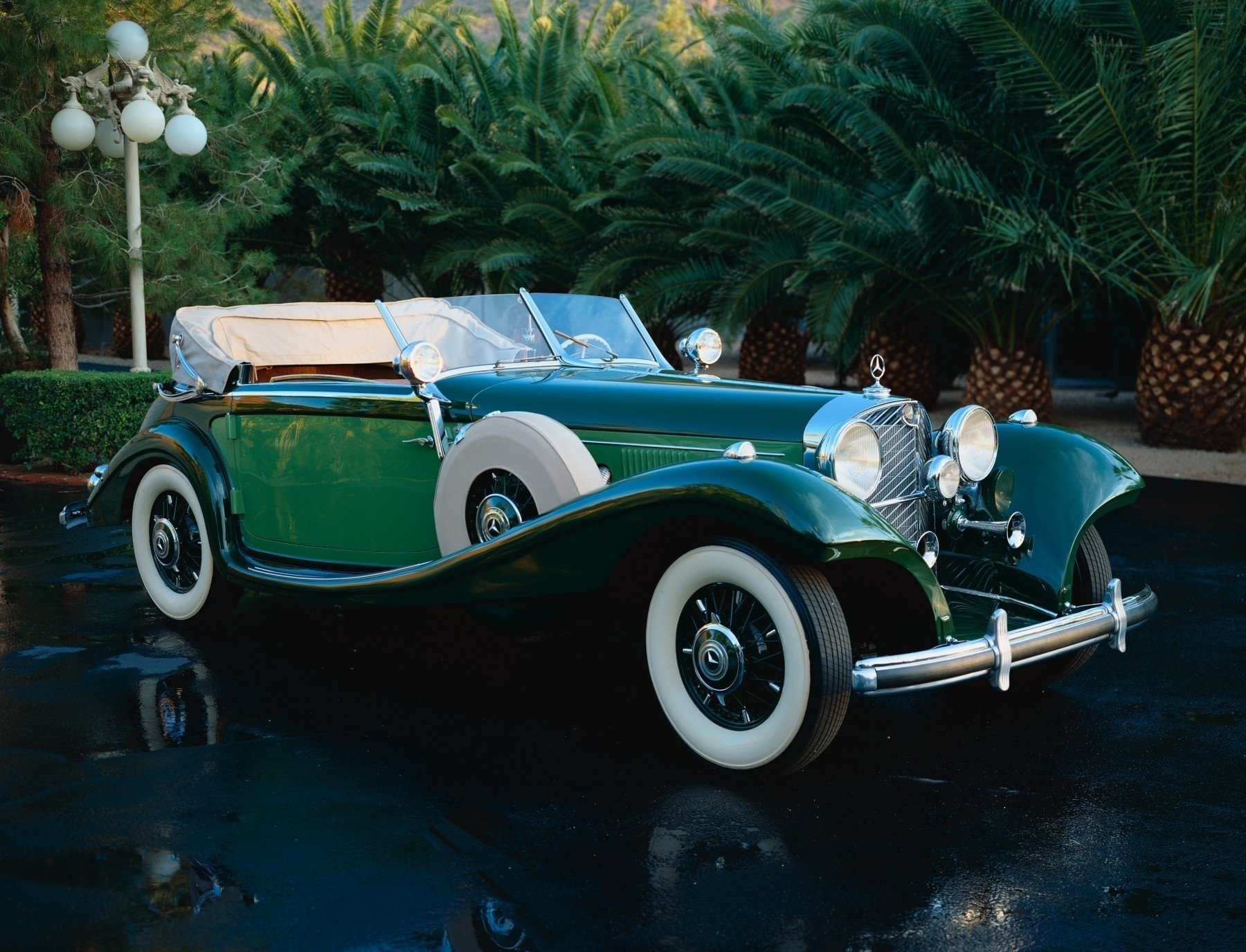 mercedes classique voiture verte rétro couleur verte palmiers voitures transport auto véhicules rareté vieux verdure roues profil lumières