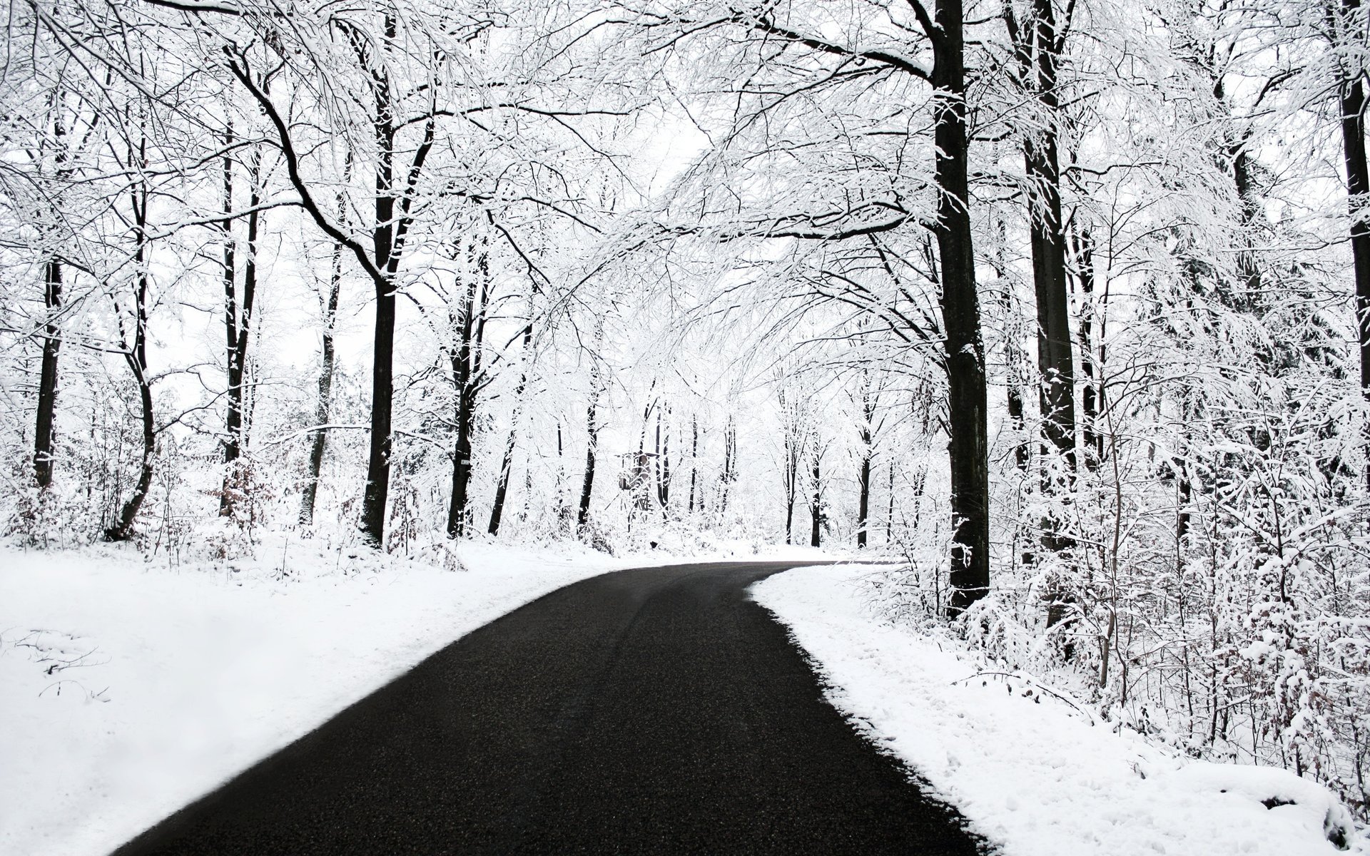 alles im schnee sauberer asphalt winter straße wald bäume schnee straßenrand