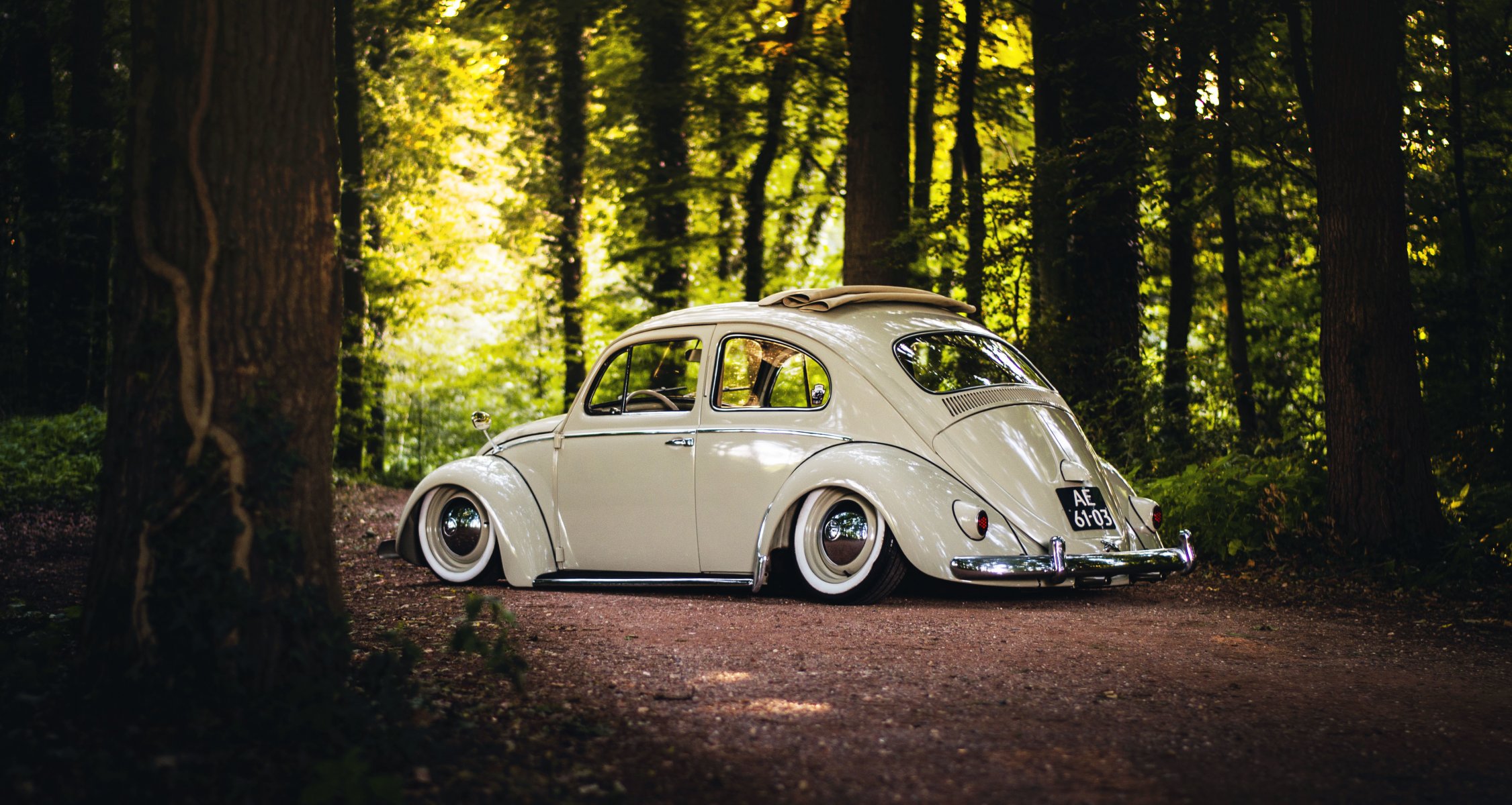 volkswagen beetle toit ouvrant roues arrière arbres route forêt soleil