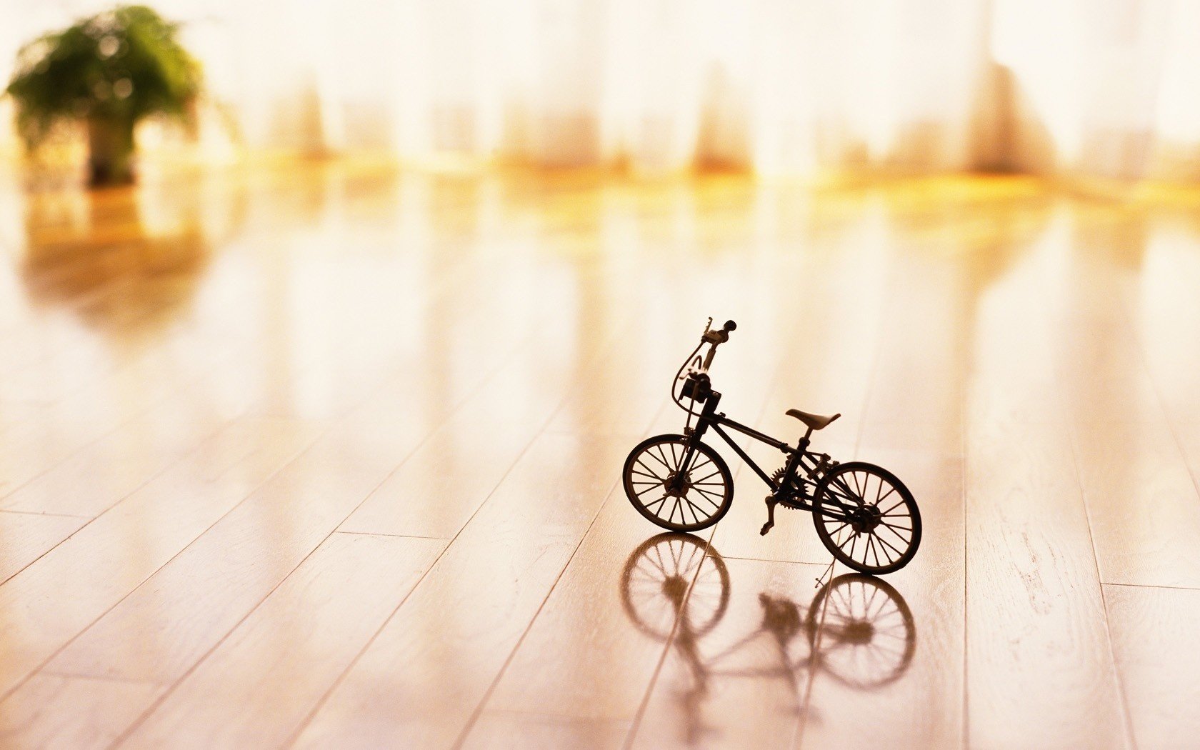 minimalism toy bike flooring light room tulle pot focu