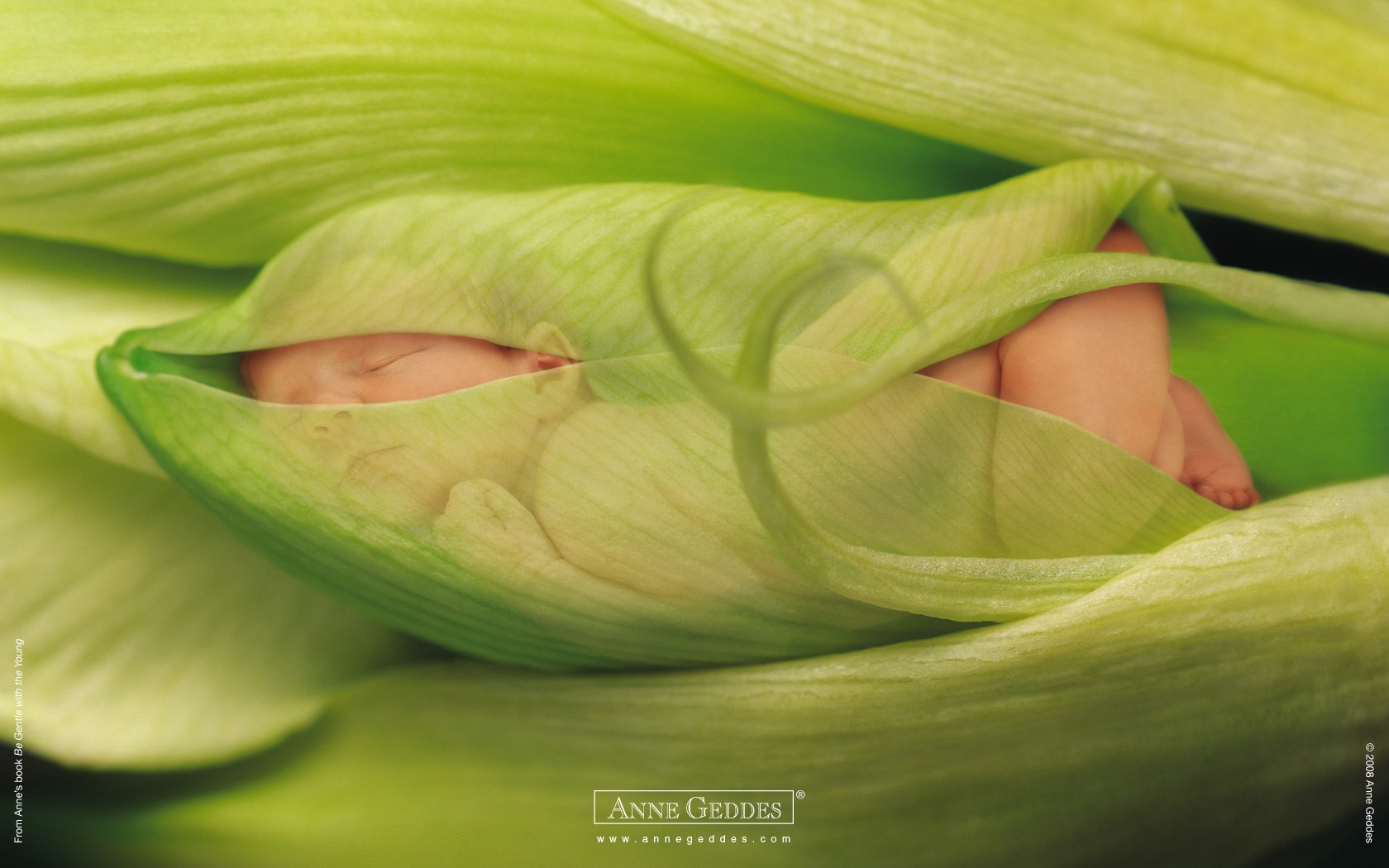 wrapped child green leaves tenderness sleep