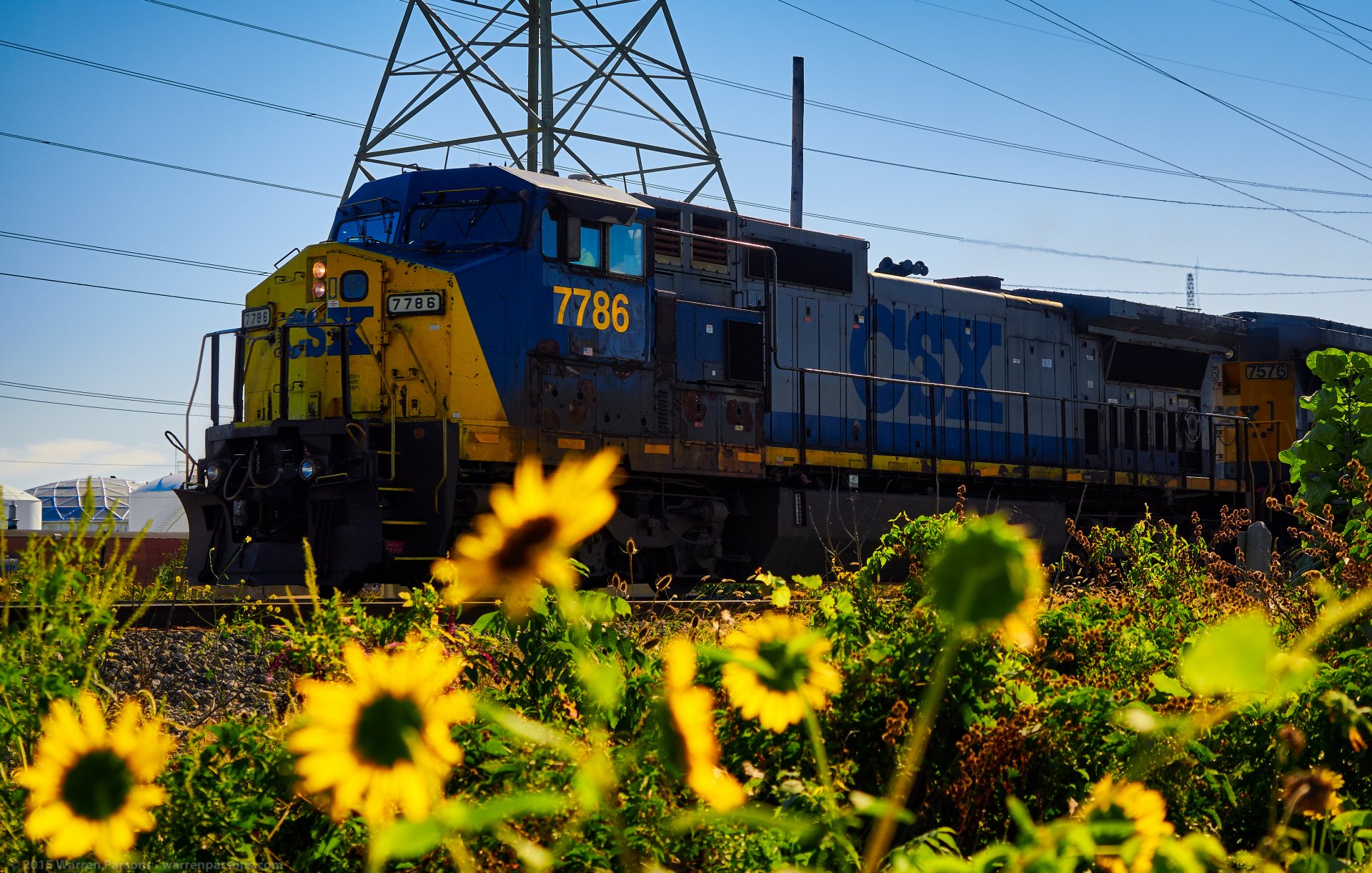 tren ferrocarril locomotora carriles girasoles naturaleza