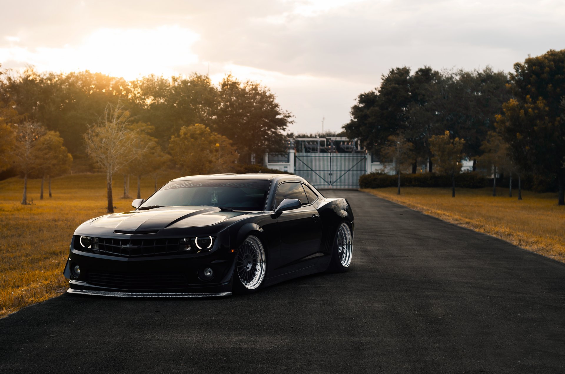 chevrolet camaro zl1 stance matte black muscle car autumn front