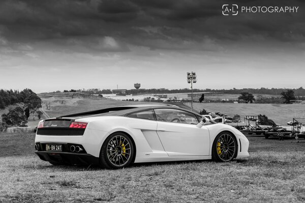 Lamborghini na tle stadionu czarno biała