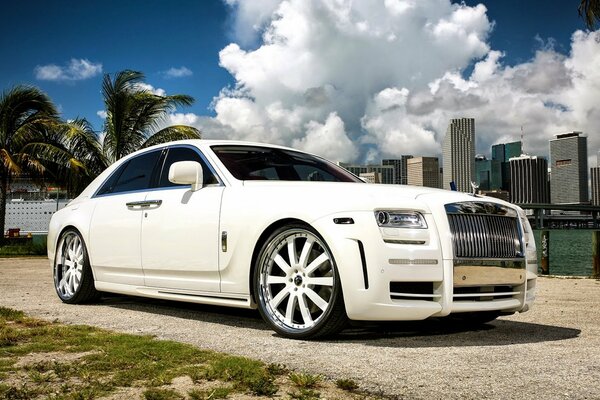 White Rolls Royce on the background of palm trees and the city