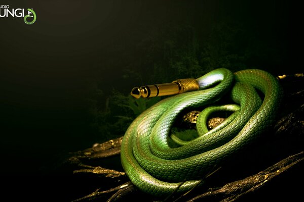 The green snake curled up into a ball