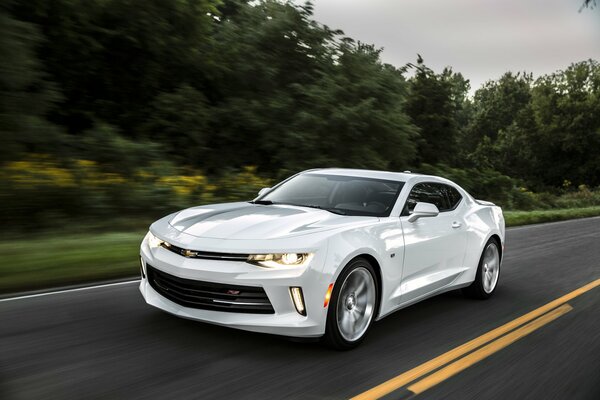 A white Chevrolet is racing down the road