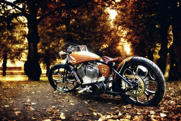 Harley davidson Bike im herbstpark