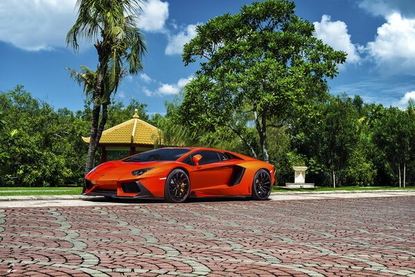 Leuchtend orange Lamborghini Supersportwagen vor dem Hintergrund einer exotischen Landschaft