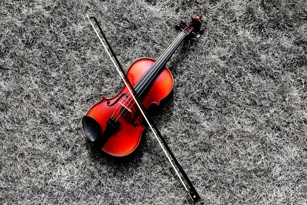 Красная скрипка на серой траве