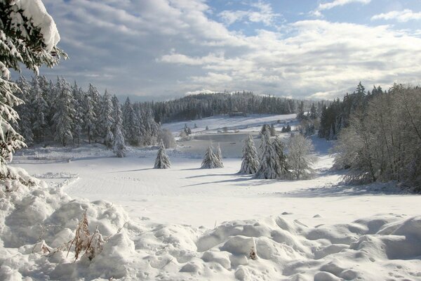 Inverno e cumuli di neve sullo sfondo di montagne e foreste