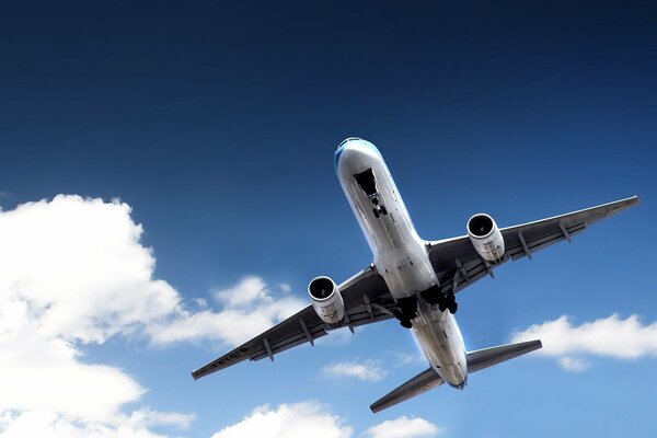 The plane is flying in the sky against the background of clouds